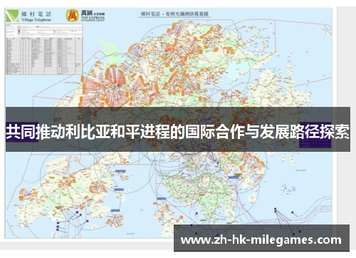 共同推动利比亚和平进程的国际合作与发展路径探索