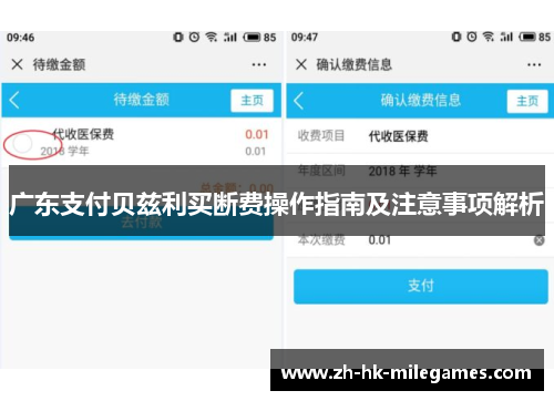 广东支付贝兹利买断费操作指南及注意事项解析