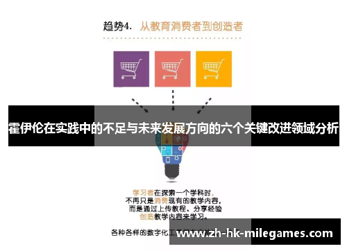 霍伊伦在实践中的不足与未来发展方向的六个关键改进领域分析