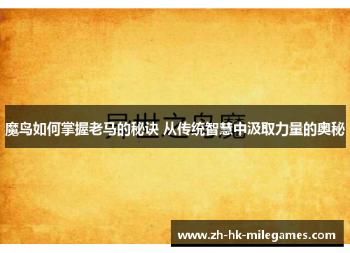 魔鸟如何掌握老马的秘诀 从传统智慧中汲取力量的奥秘